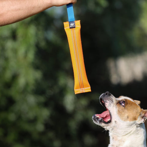 K9 Dog Bite Tug Toy with Strong Handle, Durable Fire Hose, Perfect for Tug of War, Fetch & Puppy Training, 12 Inches