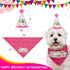 BINGPET Dog Birthday Bandana Set with Cake and Balloon, Party Supplies for Large Dogs, Pink