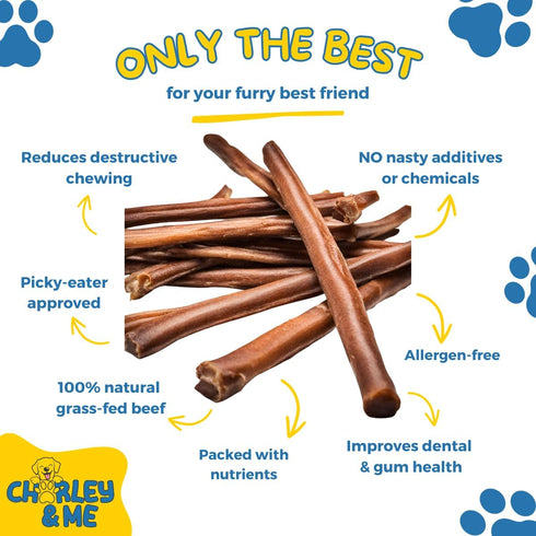 Premium Bully Sticks for Dogs, 100% Natural Beef Dog Treats, Long-Lasting Chew for Aggressive Chewers, 6 Inches, Pack