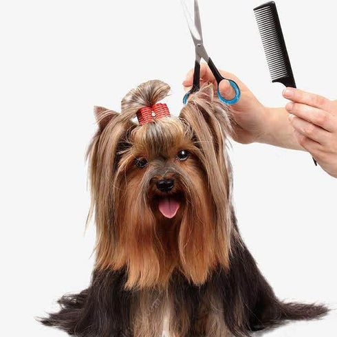 24 PCS Soft Silicone Scissors Finger Rings for Dog Grooming, Pet Shears Ring Thumb Inserts, Scissor Accessories (8