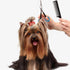 16 PCS Soft Silicone Scissors Finger Rings for Dog Grooming, Thumb Inserts for Barber Dog Hair Cutting Scissors.