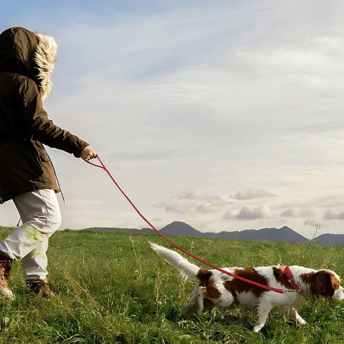 PetiFine Dog Collar and Leash Set, Adjustable Red Velvet Collar, Super Soft with Metal Buckle for Small Medium Large