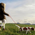 PetiFine Dog Collar and Leash Set, Adjustable Red Velvet Collar, Super Soft with Metal Buckle for Small Medium Large
