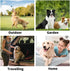 Pet Glove Wipe, Cleaning Glove for Dog and Cat, Fur Face, Ear, Eye, Paws Cleaning Wipes, 6PCS