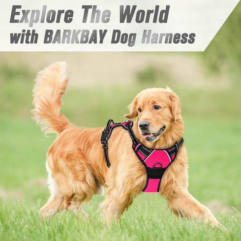 BARKBAY No Pull Dog Harness, Heavy Duty Reflective Front Clip with Easy Control Handle for Large Dogs (Pink, L)