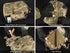 PETAC GEAR Tactical Rip Away Medical Pouch Tear Off First Aid IFAK Pouch Molle & Belt Horizontal Outdoor Emergency