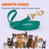 Viper Biothane K9 Working Dog Leash, Waterproof Lead for Tracking Training, 6ft, Blue Aqua, Solid Brass Snap