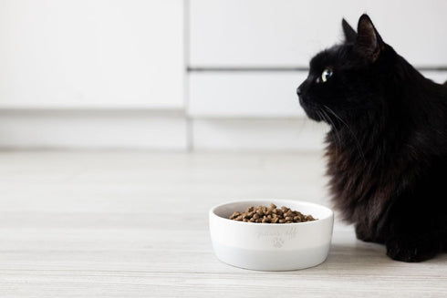 Pearhead Paws Off Ceramic Cat Bowl - Small Food and Water Bowl for Cats, Microwave & Dishwasher Safe