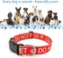 Dog Collar for DO NOT PET, Premium Adjustable Polyester with Buckle, Durable Red Collars for Small Medium Large Dogs
