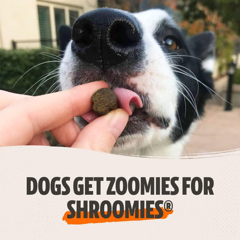 FreshCap Shroomies, Organic Mushroom Complex for Dogs, 180 Soft Chews, Turkey Tail & Lions Mane
