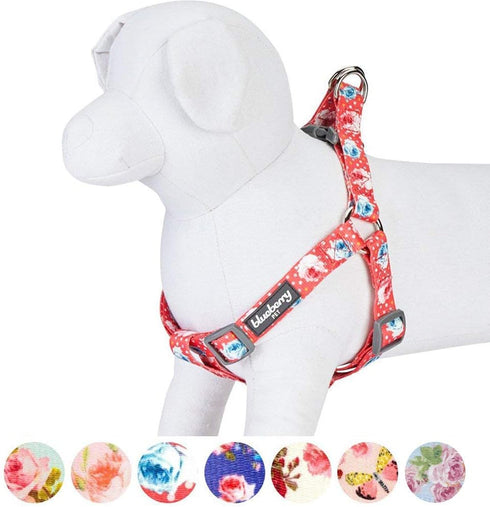 Blueberry Pet 9 Patterns Step-in Spring Scent Inspired Rose and Polka Dot Print Dog Harness, Chest Girth 16.5" - 21.5"