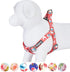 Blueberry Pet 9 Patterns Step-in Spring Scent Inspired Rose and Polka Dot Print Dog Harness, Chest Girth 16.5" - 21.5"