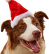 Yahpetes Dog Cat Pet Santa Hat - 4 Pcs Christmas Santa Claus Hat, 5.5"X7.8" for Puppy, Kitten, Small Dogs