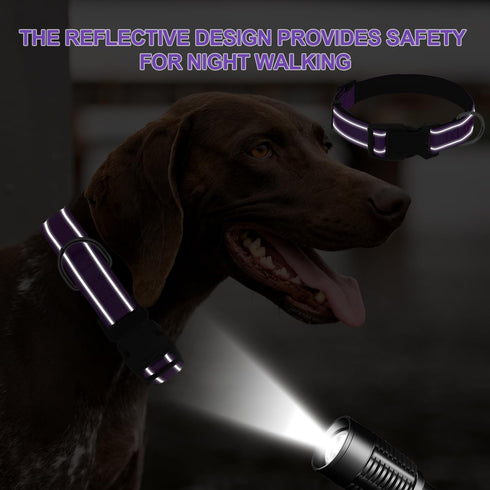 Adjustable Dog Collars for Medium Dogs, Heavy Duty Waterproof with Quick Release Buckle, Reflective Nylon Collar (M,