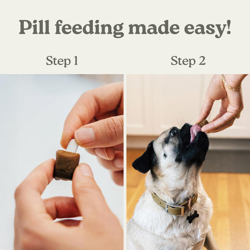 Presidio Pill Buddy Naturals - PB & Banana Recipe Pill Hiding Treats for Dogs - 30 Servings for Any Size Medication