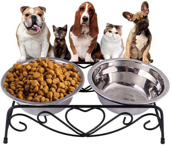 AUNMAS Elevated Dog Cat Bowls, Stainless Steel Double Food Water Bowls for Small Pets, Feeder Dishes Shelf Stand