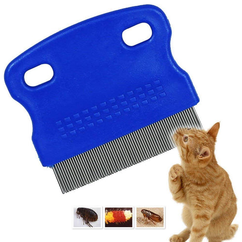 Patty Both Pet Lice & Flea Removal Comb/Brush, Stainless Steel Teeth, Sturdy Plastic Handle for Easy Cleaning (Blue)