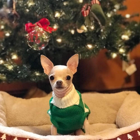 NACOCO Dog Sweater - Pet Christmas Elk Bells Sweater for Small Dog and Cat (M, Green)