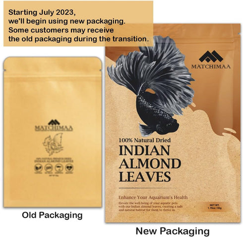 Premium Indian Almond Leaves, Aquarium Decorations, 50g Pack (20-25 Leaves), Rich in Tannin for Shrimp & Betta