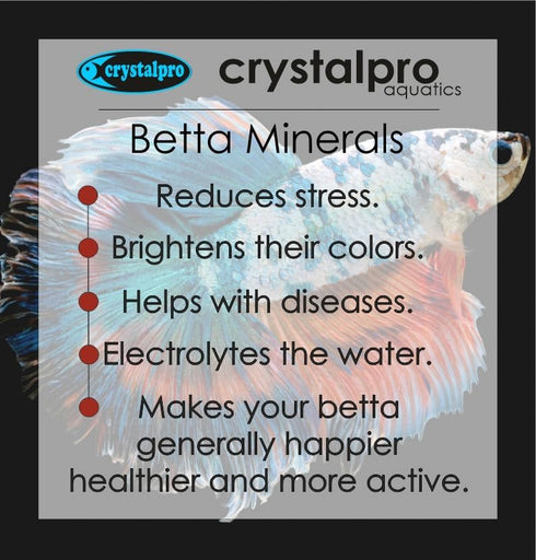 Betta Minerals 4.22 Oz Concentrated Additive for Betta Fish Tank Care - Improves Health, Reduces Stress