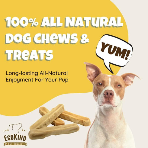 EcoKind Premium Gold Yak Cheese Himalayan Dog Chews - All Natural, High Protein Treats for Large Breed Dogs, 3 Chews