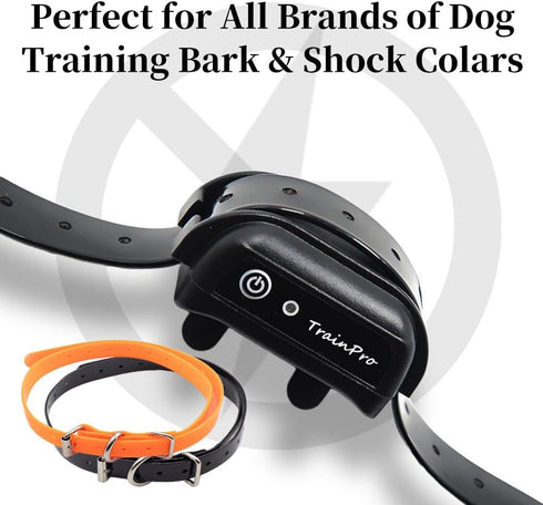27 ½” X ¾” Replacement Dog Collar Strap Band, 2-Pack for Pet Training, Variety of Colors & Reflective Choices