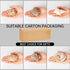 BAIHILIU 6PCS 2.8" 3.9", 1.5" 2.5", Large Hermit Crab Shells, Natural Sea Conch Shell Size - Opening Size - Turbo
