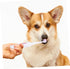 2pcs Electric Toothbrush for Pets Lightweight and Portable and Gums Cleaning for Dogs and Cats Random No Batteries