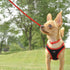 Coastal Pet Li'l Pals Dog Leash with E-Z Snap, 6' x 5/16", Neon Pink (1-Unit)