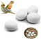 FOIBURELY 4 Pcs Solid Parrot Plastic Eggs Hatching Eggs Green Cheek, Lorikeet&Ringneck Dove,