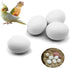 FOIBURELY 4 Pcs Solid Parrot Plastic Eggs Hatching Eggs Green Cheek, Lorikeet&Ringneck Dove,