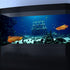 36X24IN Natural Underwater Aquarium Background, 3D Fish Reef Decoration Background with 8 EVA Double-Sided Tape