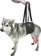 AGON Canine Dog Sling Carrier for Back Legs Support, Medium Black Harness for Dogs, Aid for Old K9 Cruciate