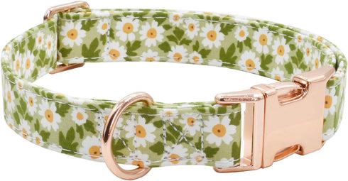 Metal Buckle Dog Collar, Durable Adjustable Soft Collar for Small Medium Large Dogs (003-Green Flower, S, 10-14in)