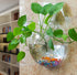 Creative Acrylic Hanging Wall Mounted Fish Tank, Mini Aquarium Planter for Home Decor