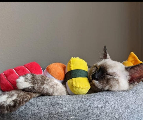 munchiecat Sushi Catnip Toy for Cats, USA Made, Engaging Design for Pouncing and Play, 4-Pc Rainbow