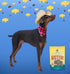 Just Bison Liver Freeze Dried Treats for Dogs and Cats 2.5 oz USA Small Batch Made All Natural