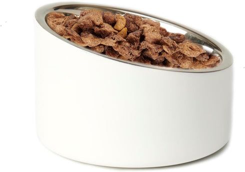 PetRageous 18438 Seychelles Stainless-Steel Slanted Dog Bowl | 1-Cup Capacity, 4.95-Inch Width, 2.95-Inch Height, White