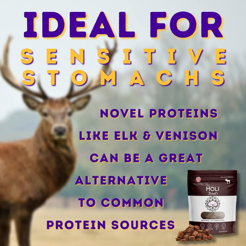 96% 100% 6oz HOLI Freeze Dried Elk and Venison Dog Food Topper - Meat, Wild Caught Free Range - Freeze Dried Dog Food