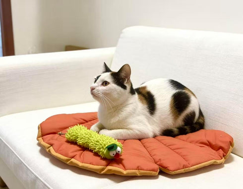 LZYDD Leaf Cozy Dual-Use Mat Cat Bed Sofa Protector with a Catnip Caterpillar