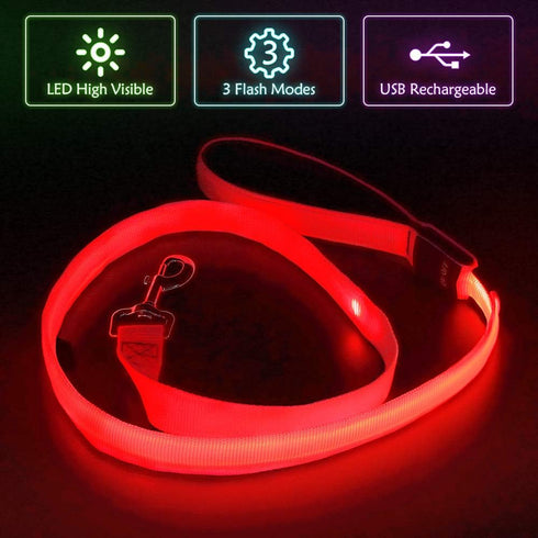 LED Dog Leash, USB Rechargeable Light Up Nylon Glowing Pet Leash for Night Walking (Red?)