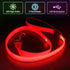 LED Dog Leash, USB Rechargeable Light Up Nylon Glowing Pet Leash for Night Walking (Red?)