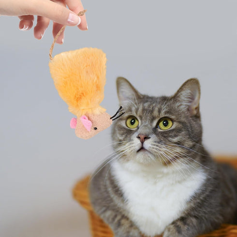 3pcs SEWACC Cat Toys Interactive Kitten Plush Toy for Exercise and Play