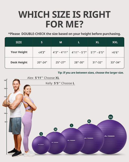 5 Trideer Exercise Ball for Yoga, Pilates & Fitness Stability Ball Equipment for Home Gym & Office Chair, Core