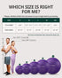 5 Trideer Exercise Ball for Yoga, Pilates & Fitness Stability Ball Equipment for Home Gym & Office Chair, Core