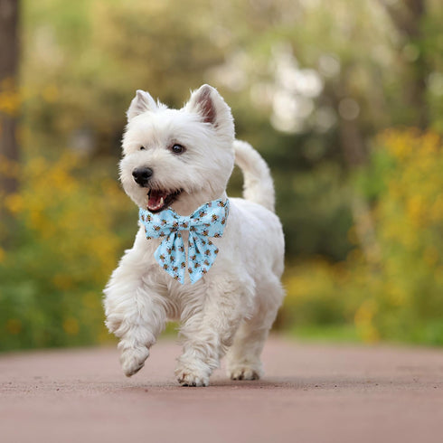 Maca Bates Blue Bee Dog Collar | Adjustable Bowtie for Small Medium Large XL Dogs with Golden Metal Buckle