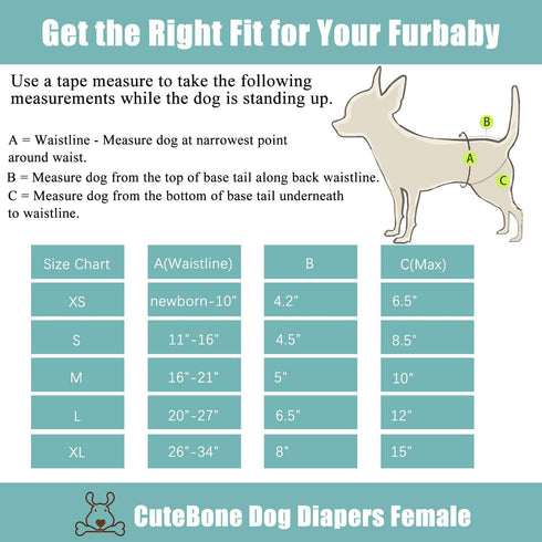 3 Pack BDD05L CuteBone Dog Diapers Female Reusable Doggy Diapers with One Suspender for Small Medium Large Dog Period