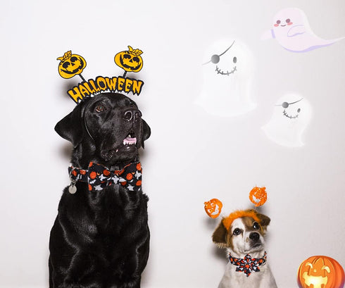 DOGWONG Halloween Black Ghost Dog Collar, Adjustable Soft Comfy Pet Collar with Removable Bow Tie for Small Medium