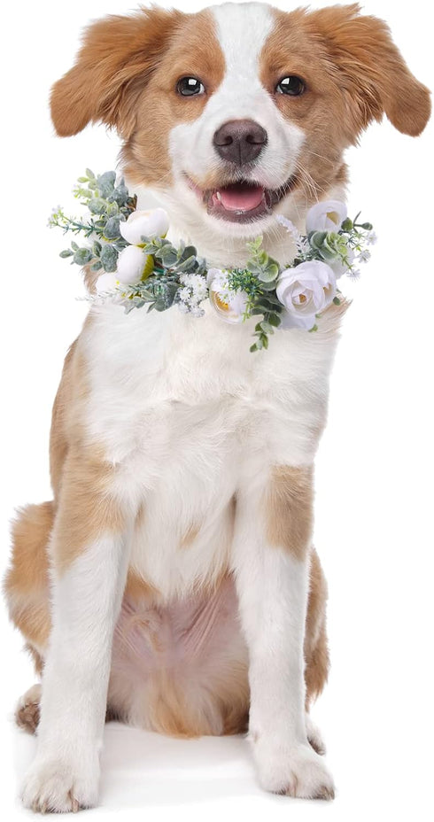 Dog Wedding Flower Collar, Wreath Bow for Weddings, Flower Ring Pets Cats and Dogs, Pet Photo Prop (White)