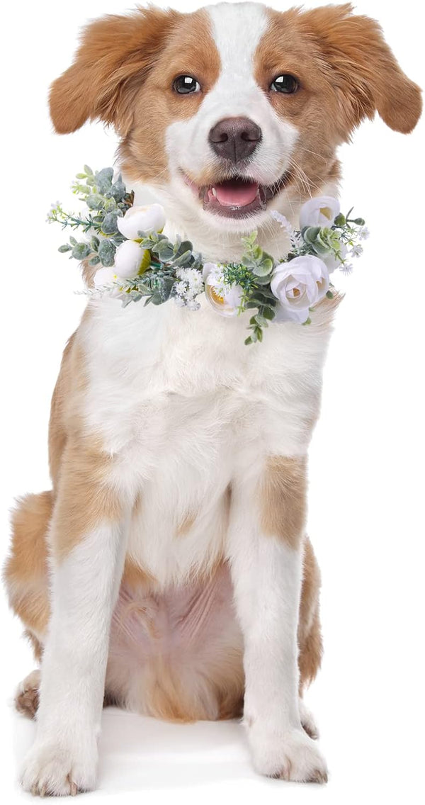 Dog Wedding Attire Flower Collar Wreath Bow for Pets, Cats and Dogs, Wedding Photo Prop (White, Fresh, Large)